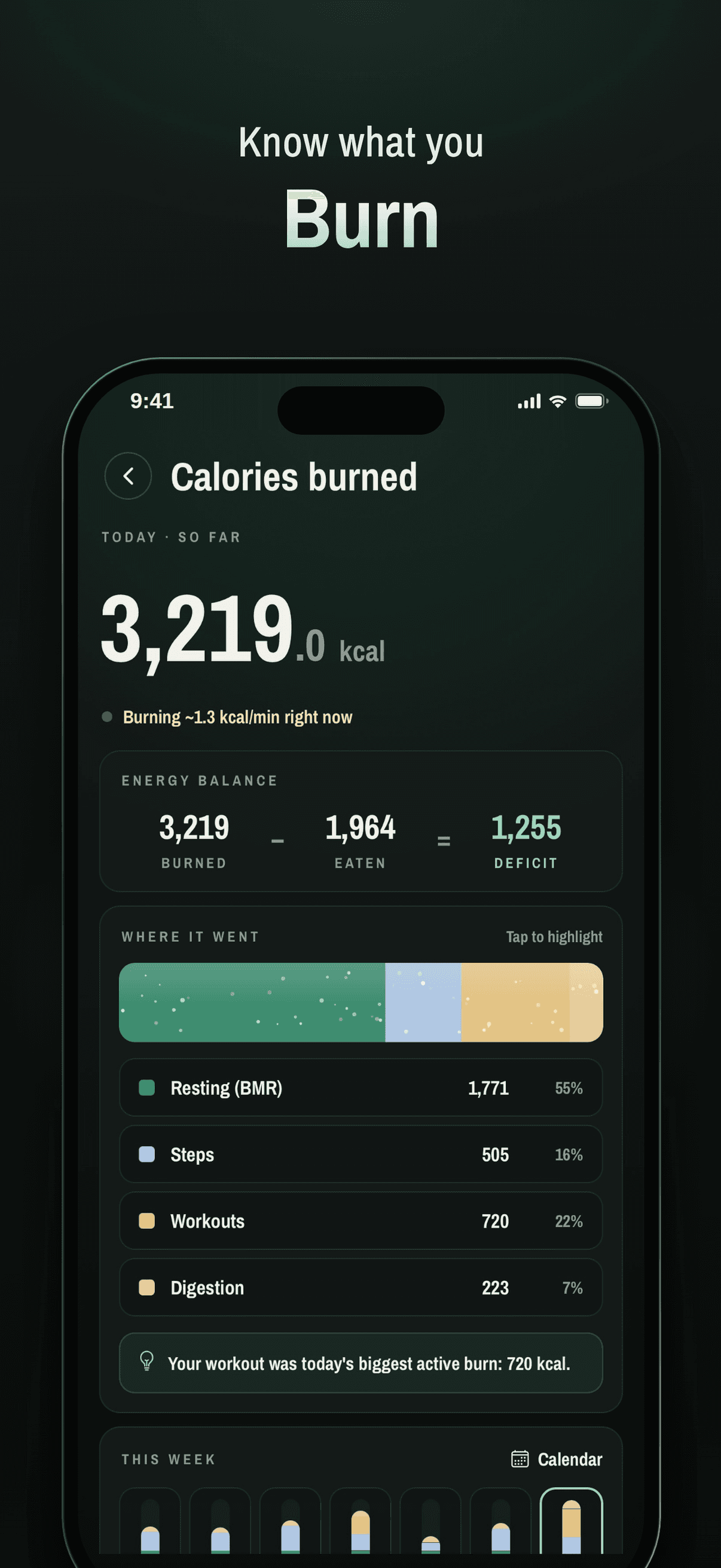 Calories burned, split into resting, steps and workouts